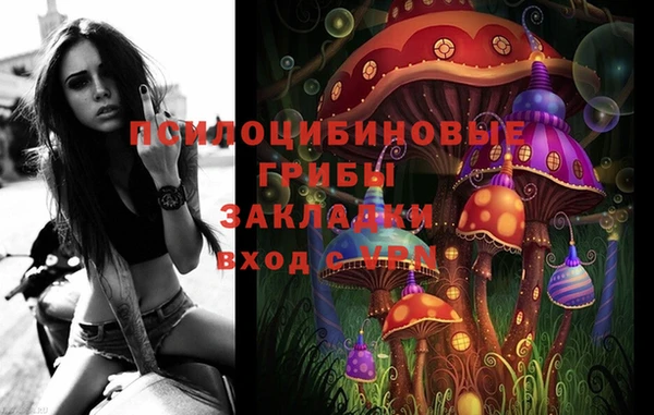 тгк Абинск