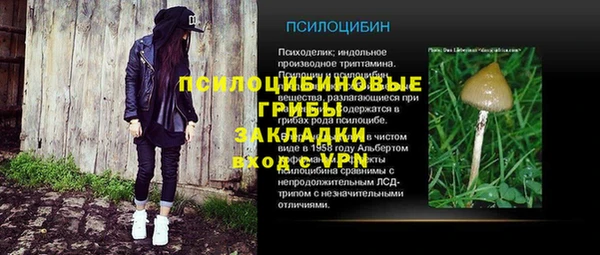 МДПВ Осинники