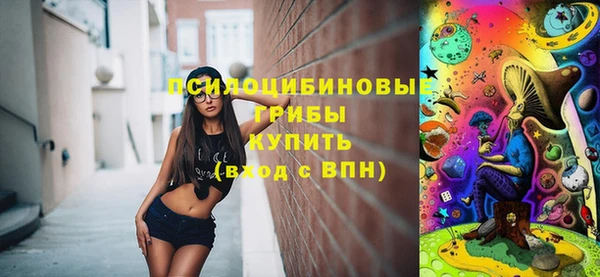 МДПВ Осинники