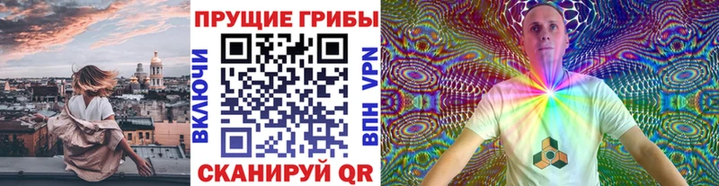 как найти закладки Тихорецк МЕГА tor Галлюциногенные грибы MAGIC MUSHROOMS